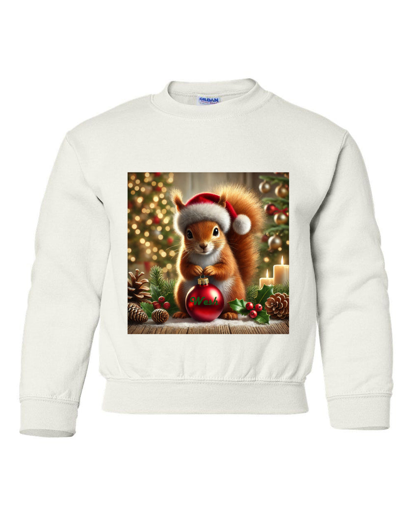 Pull écureuil de Noel Wesh